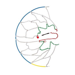 a sample image